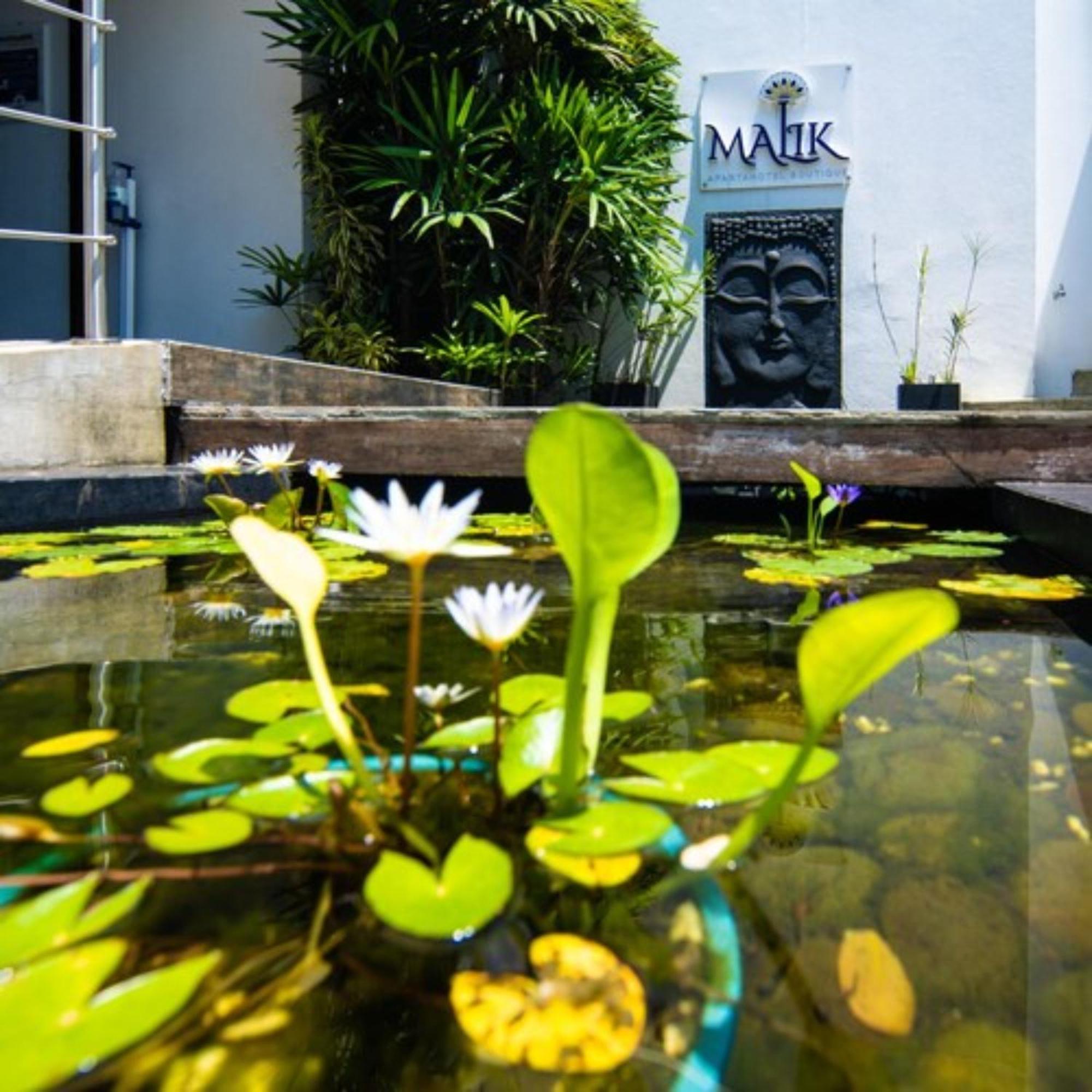 Malik Hotel Boutique كالي المظهر الخارجي الصورة